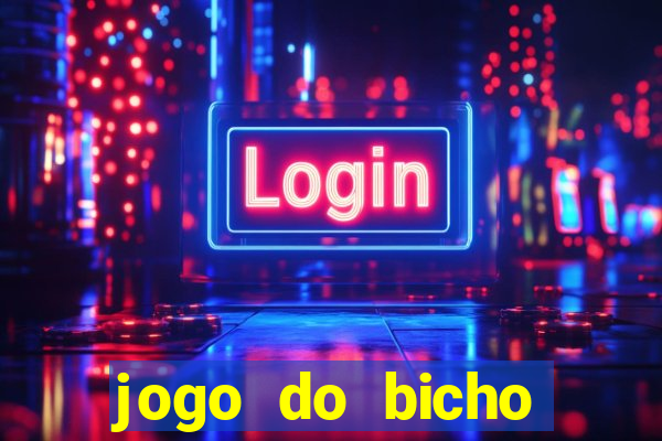 jogo do bicho crash bingo